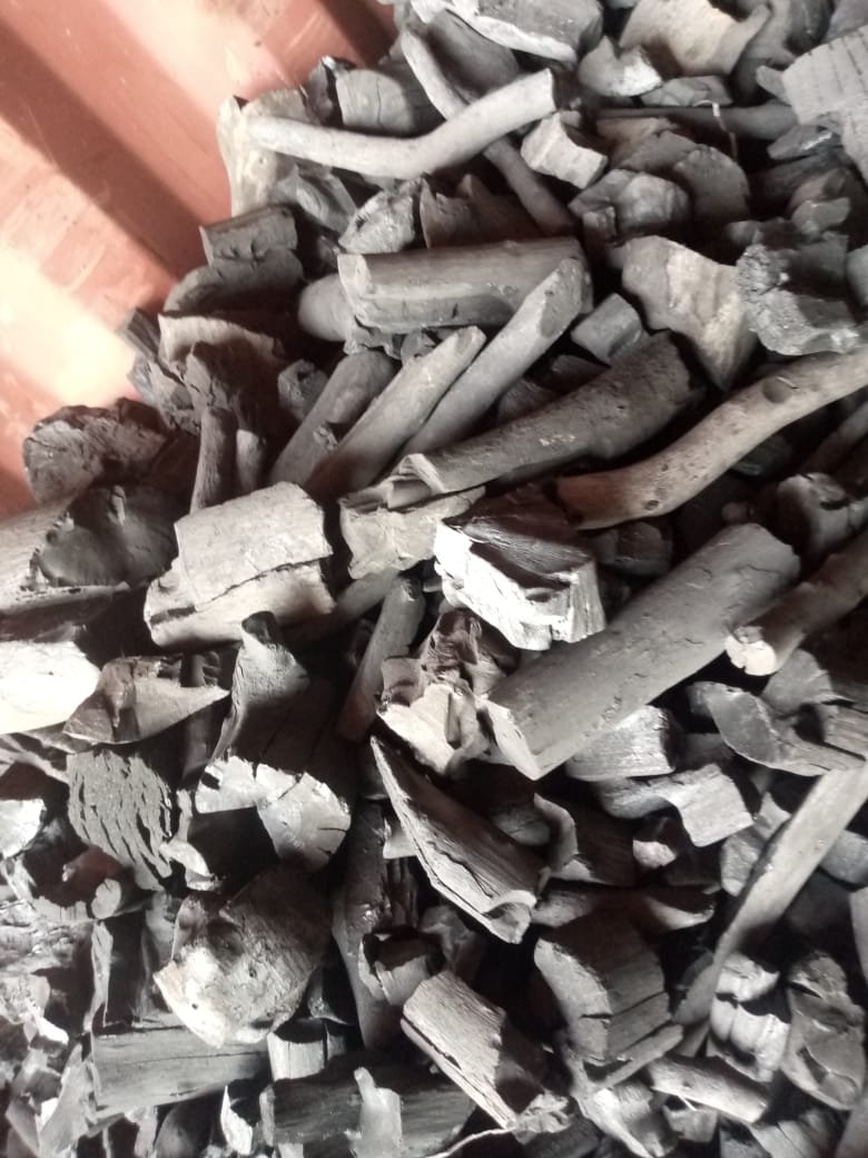 افضل انواع الفحم النباتي فحم الطلح