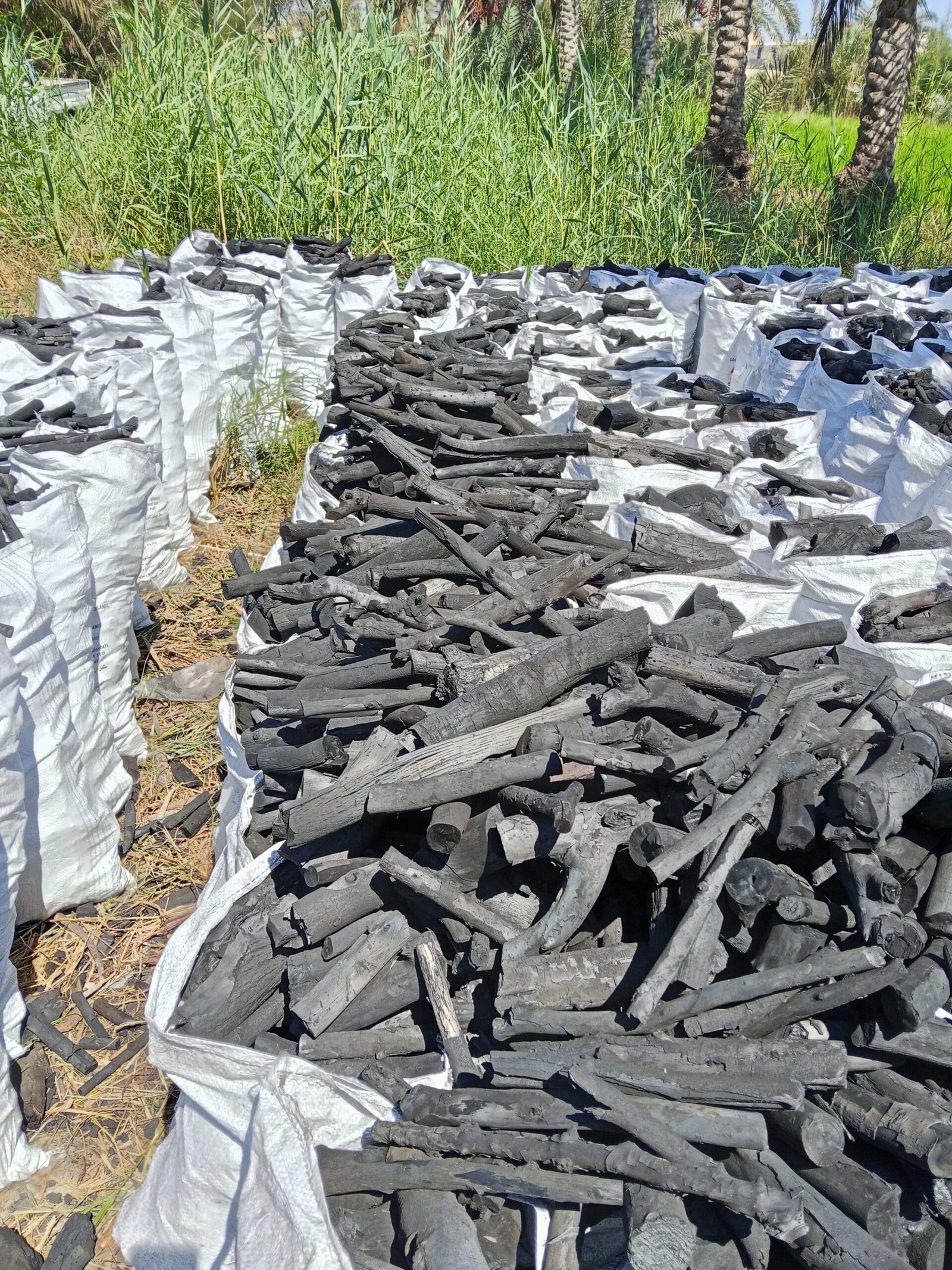 أفضل أنواع الفحم النباتي في مصر